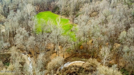 Drake's Bayou - Claiborne County, Mississippi - image 31