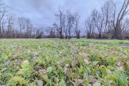 Drake's Bayou - Claiborne County, Mississippi - image 45