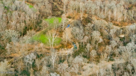 Drake's Bayou - Claiborne County, Mississippi - image 35