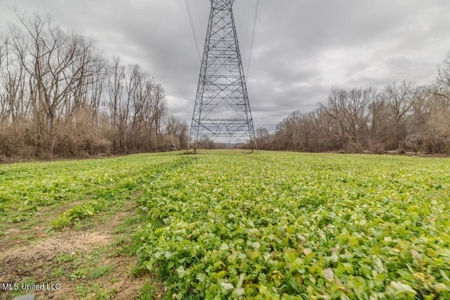 Drake's Bayou - Claiborne County, Mississippi - image 42