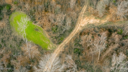 Drake's Bayou - Claiborne County, Mississippi - image 33