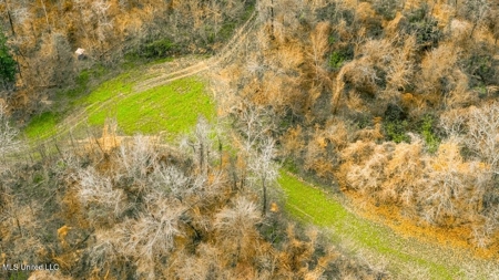 Drake's Bayou - Claiborne County, Mississippi - image 34