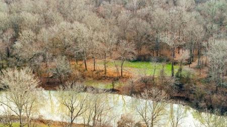 Drake's Bayou - Claiborne County, Mississippi - image 27
