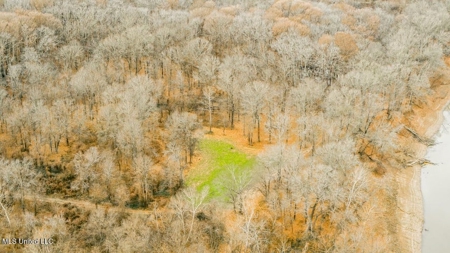 Drake's Bayou - Claiborne County, Mississippi - image 29