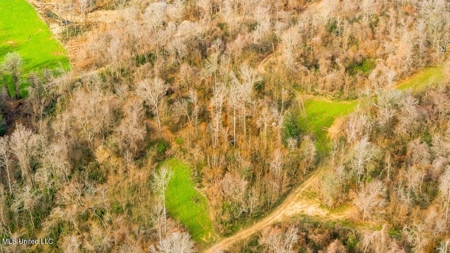 Drake's Bayou - Claiborne County, Mississippi - image 37