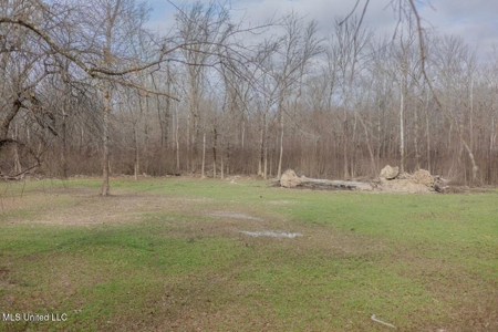 Drake's Bayou - Claiborne County, Mississippi - image 44