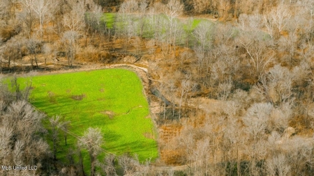 Drake's Bayou - Claiborne County, Mississippi - image 38