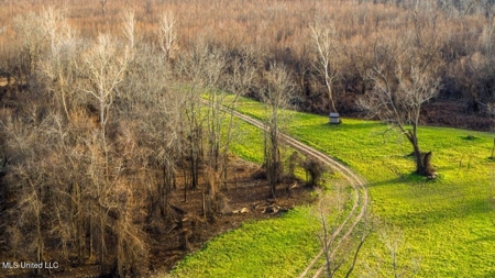 Drake's Bayou - Claiborne County, Mississippi - image 26
