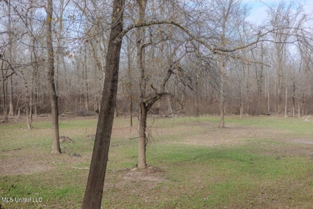 Drake's Bayou - Claiborne County, Mississippi - image 43