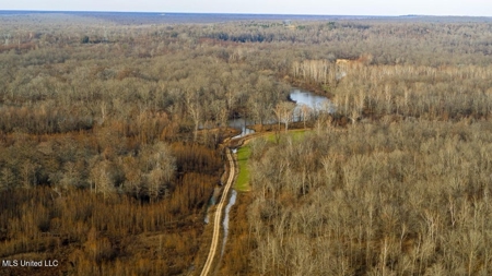 Drake's Bayou - Claiborne County, Mississippi - image 18