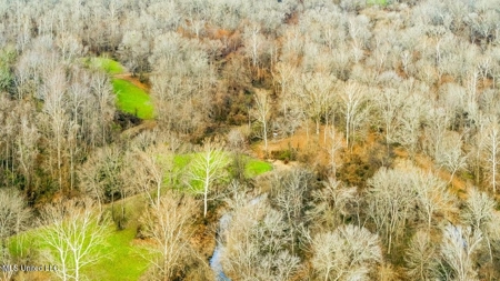 Drake's Bayou - Claiborne County, Mississippi - image 30