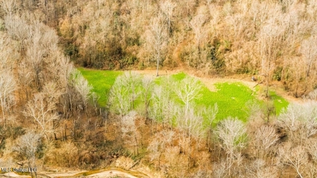 Drake's Bayou - Claiborne County, Mississippi - image 36