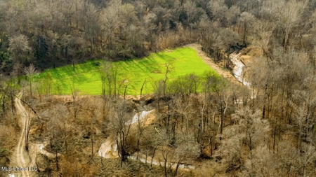 Drake's Bayou - Claiborne County, Mississippi - image 39