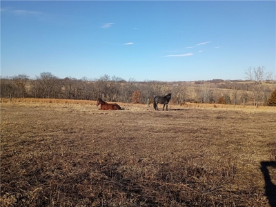 25.5+/- North of Stanberry with Pond, Shop & Scenic Build Sites - image 5