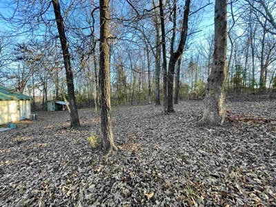 Country home on 3+ ac Fulton County AR for sale - image 10