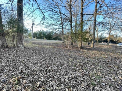 Country home on 3+ ac Fulton County AR for sale - image 13