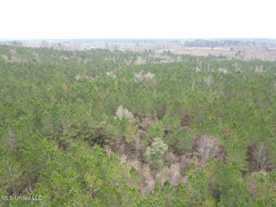 25.7 Acres for Sale in Smith County, Mississippi - image 25