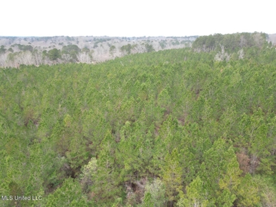 25.7 Acres for Sale in Smith County, Mississippi - image 27