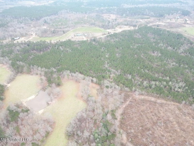 25.7 Acres for Sale in Smith County, Mississippi - image 11
