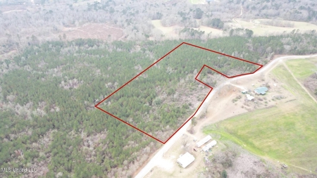 25.7 Acres for Sale in Smith County, Mississippi - image 4