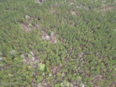 25.7 Acres for Sale in Smith County, Mississippi - image 23