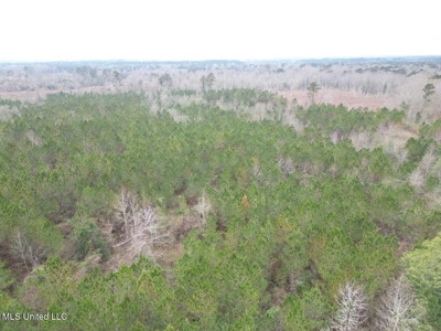 25.7 Acres for Sale in Smith County, Mississippi - image 26