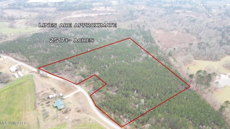 25.7 Acres for Sale in Smith County, Mississippi - image 1
