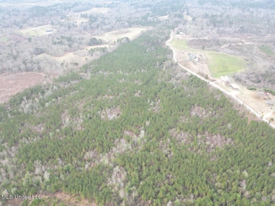 25.7 Acres for Sale in Smith County, Mississippi - image 16