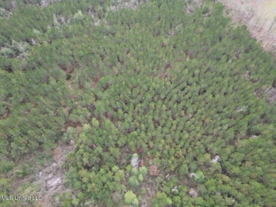 25.7 Acres for Sale in Smith County, Mississippi - image 20