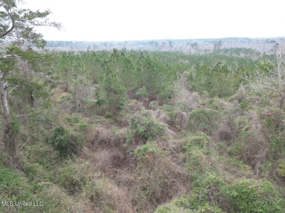 25.7 Acres for Sale in Smith County, Mississippi - image 29