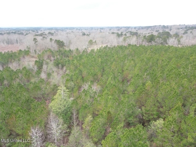 25.7 Acres for Sale in Smith County, Mississippi - image 28