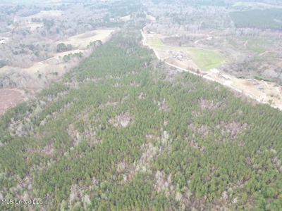 25.7 Acres for Sale in Smith County, Mississippi - image 15