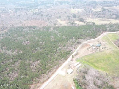 25.7 Acres for Sale in Smith County, Mississippi - image 19