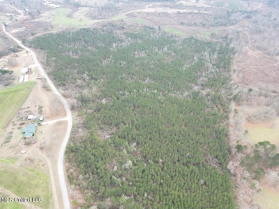 25.7 Acres for Sale in Smith County, Mississippi - image 7