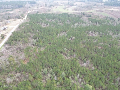 25.7 Acres for Sale in Smith County, Mississippi - image 22