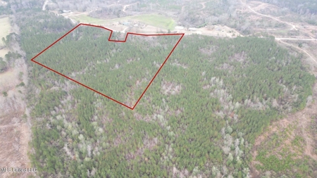 25.7 Acres for Sale in Smith County, Mississippi - image 5