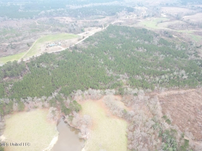 25.7 Acres for Sale in Smith County, Mississippi - image 10