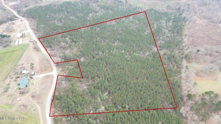 25.7 Acres for Sale in Smith County, Mississippi - image 2