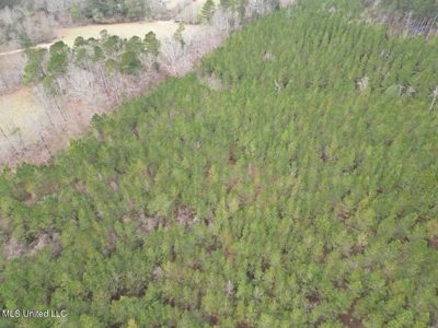 25.7 Acres for Sale in Smith County, Mississippi - image 24