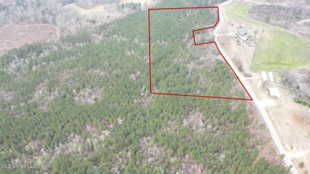 25.7 Acres for Sale in Smith County, Mississippi - image 3
