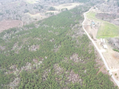 25.7 Acres for Sale in Smith County, Mississippi - image 17