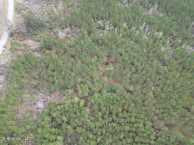 25.7 Acres for Sale in Smith County, Mississippi - image 21