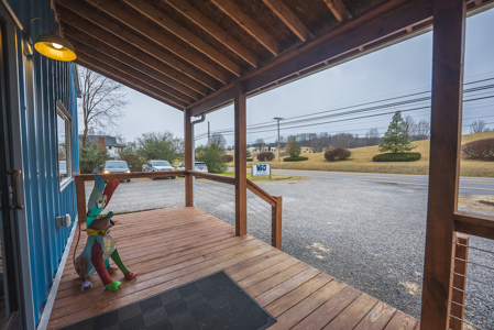 Commercial Building for Sale in Abingdon VA - image 10