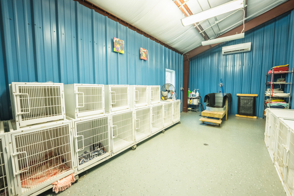 Commercial Building for Sale in Abingdon VA
