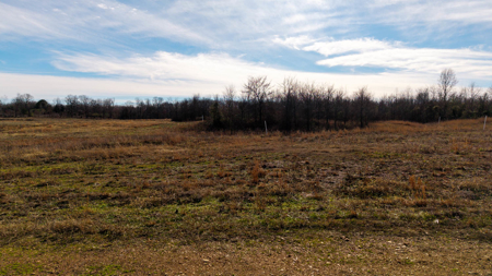 Prime Hunting Land | 240 Acres + Cabin | Missouri Ozarks - image 18