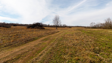 Prime Hunting Land | 240 Acres + Cabin | Missouri Ozarks - image 19