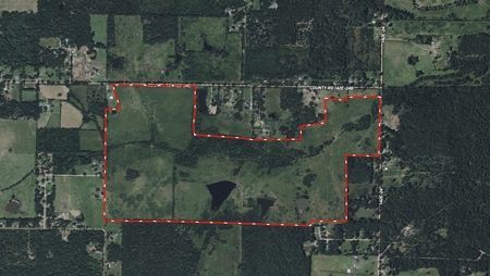 Prime Hunting Land | 240 Acres + Cabin | Missouri Ozarks - image 2