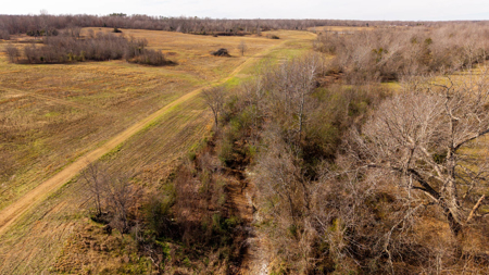 Prime Hunting Land | 240 Acres + Cabin | Missouri Ozarks - image 23
