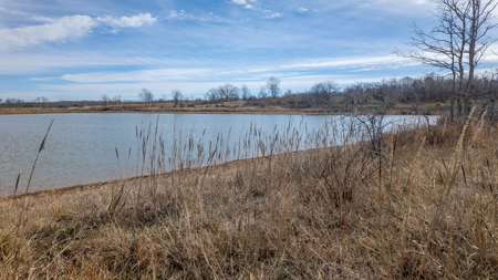 Prime Hunting Land | 240 Acres + Cabin | Missouri Ozarks - image 42