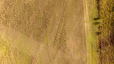 Prime Hunting Land | 240 Acres + Cabin | Missouri Ozarks - image 16